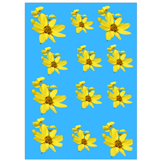 Pattern of yellow flowers on a blue background