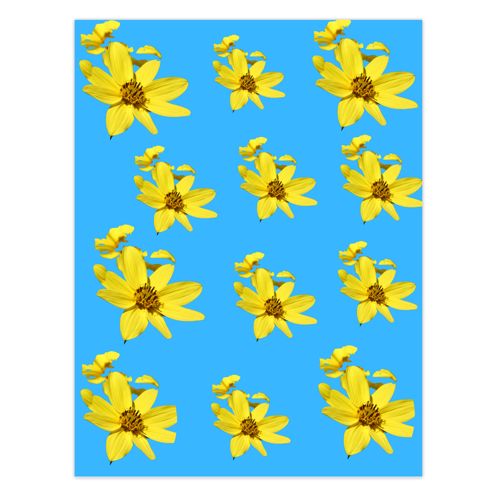 Yellow flowers on a blue background