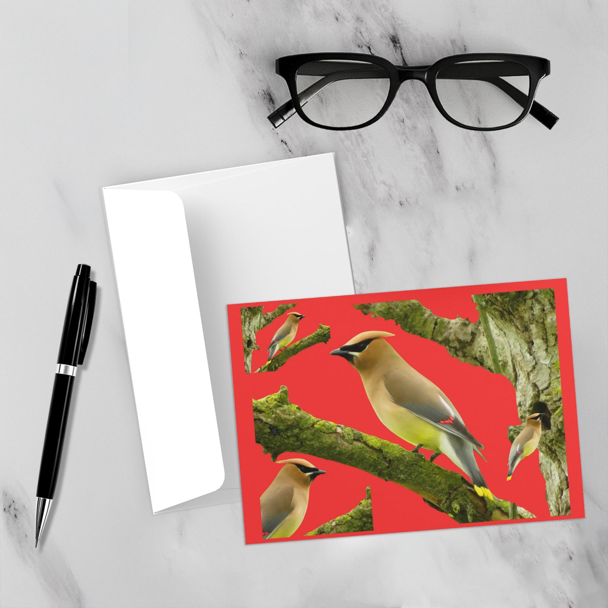 Greet-Fold-5x7-Finch-Single-5Pack-20250908224133352