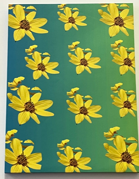 18 x 24 canvas wrap featuring an ombré green background with a pattern of sunflowers on top. 