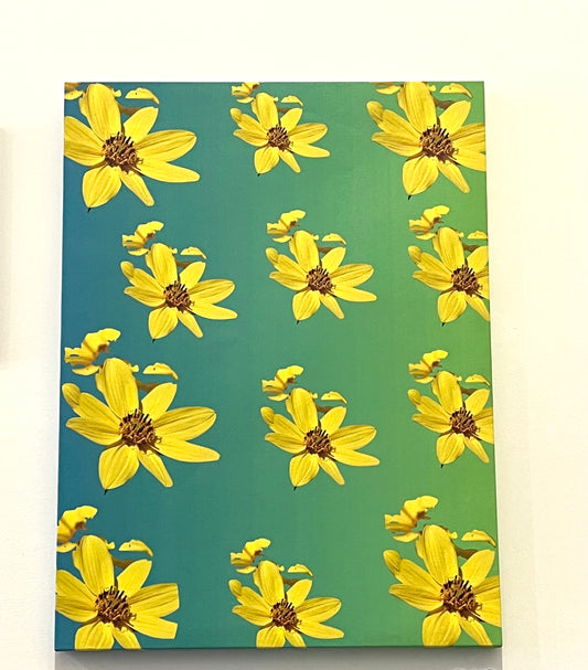 18 x 24 canvas wrap featuring an ombré green background with a pattern of sunflowers on top. 