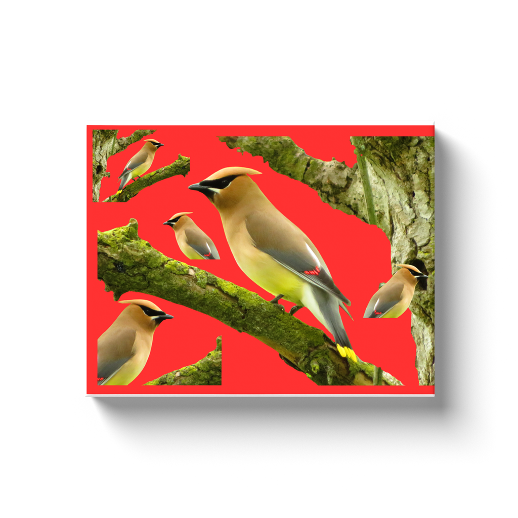 generated-proPreview-2