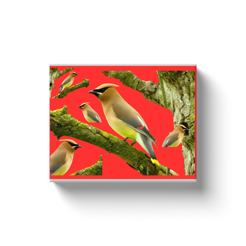 generated-proPreview-5
